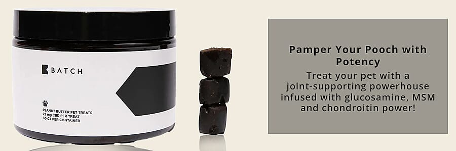 Canine Culinary  Banner