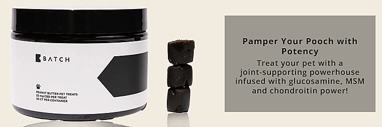 BATCH CBD Pet TreatsBanner