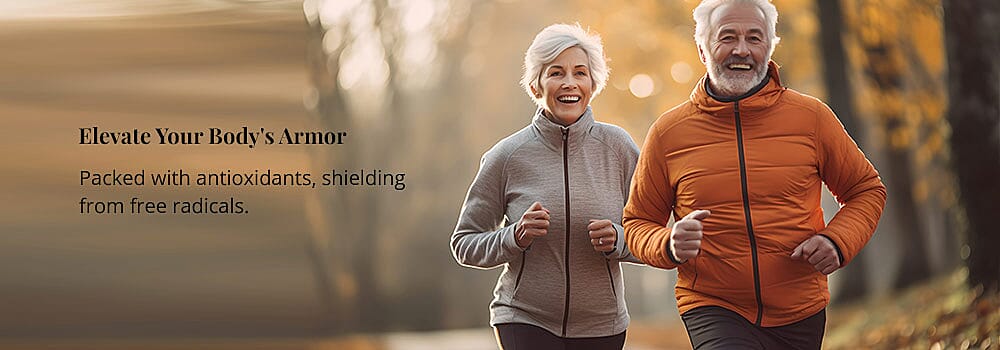 Elevate Your Body's Armor Banner