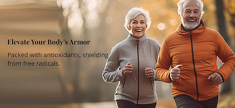 Elevate Your Body's Armor Banner