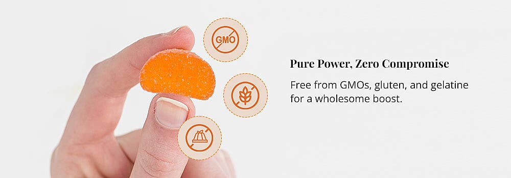 Pure Power, Zero Compromise Banner