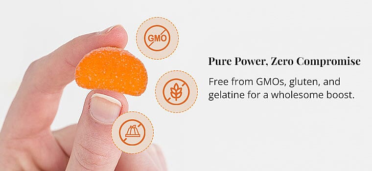 Pure Power, Zero Compromise Banner