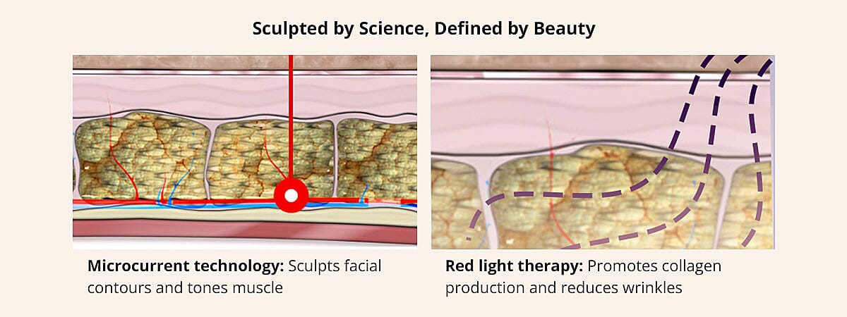 Sculpted by Science, Defined by Beauty Banner
