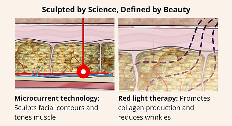 Sculpted by Science, Defined by Beauty Banner