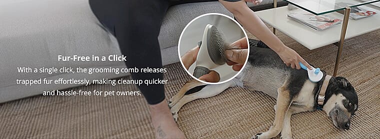 Fur-Free in a Click Banner