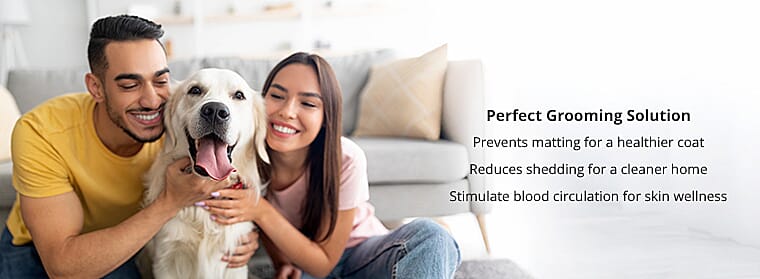 Designed for Comfort  Banner