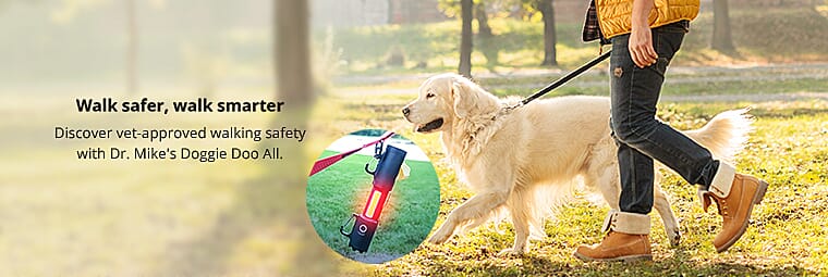 Walk safer, walk smarter Banner