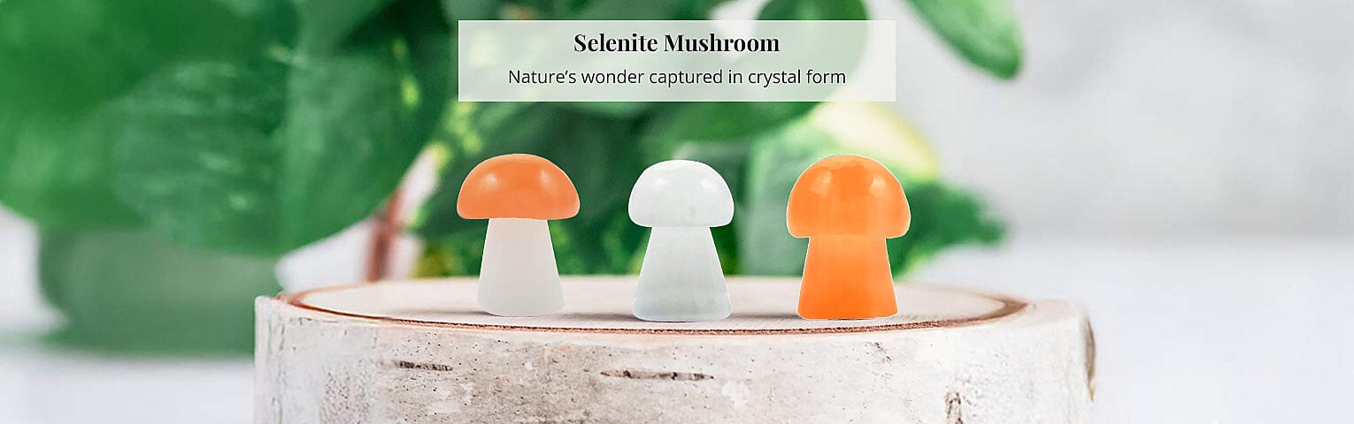 Selenite Mushroom Banner