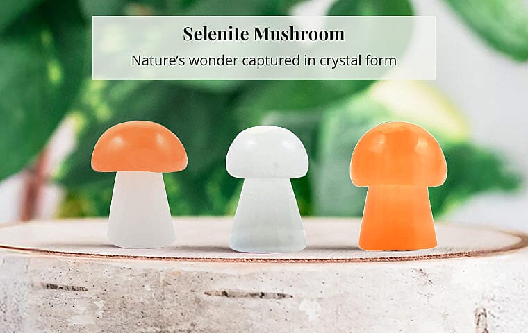 Selenite Mushroom Banner