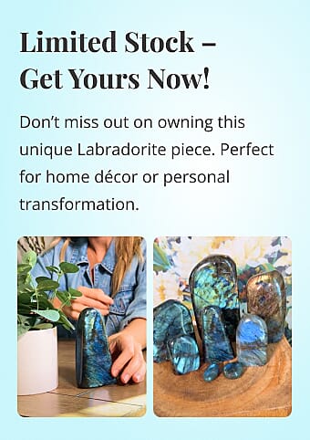 Limited Stock – Get Yours Now! Banner