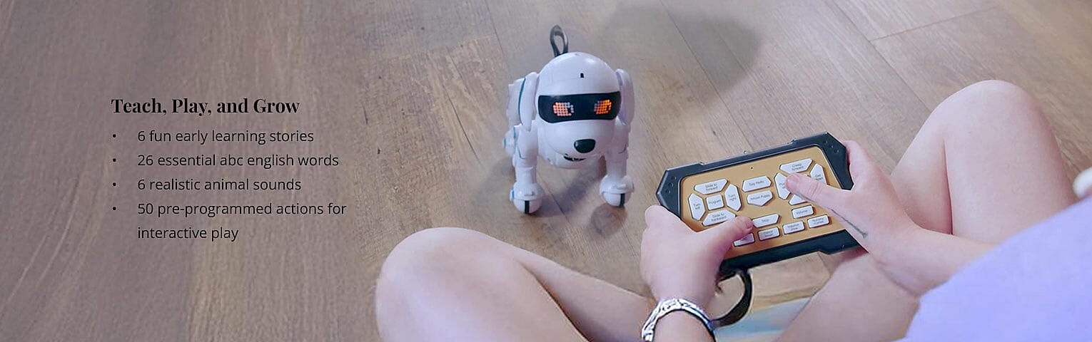 Choose Your Color, Unleash the Joy Banner