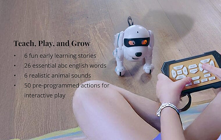 Choose Your Color, Unleash the Joy Banner