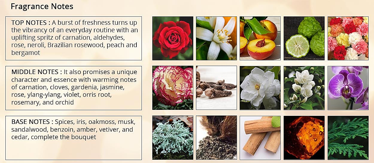 Fragrance Notes Banner