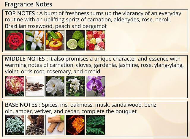 Fragrance Notes Banner