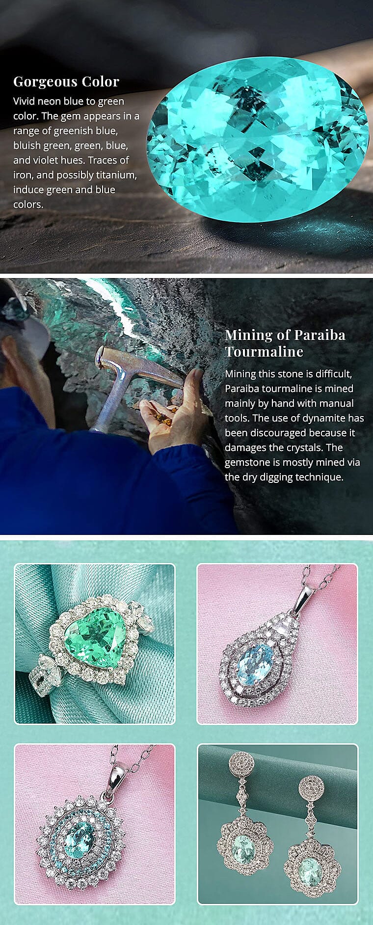 Gorgeous Color Banner