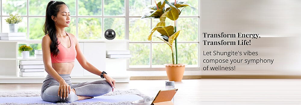 Where Purification Meets Protection Banner