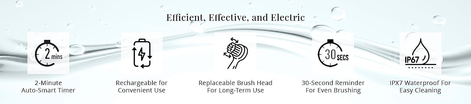 Efficient, Effective, and Electric Banner