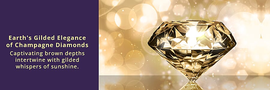 Let Nature's Elegance  Banner