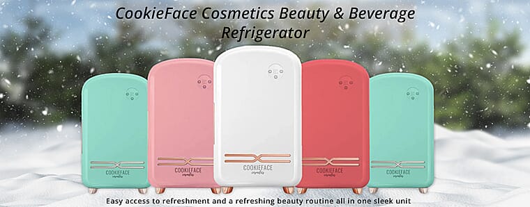 Home Décor Figurines Labradorite  Banner