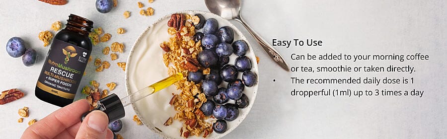 Organic Composition Banner