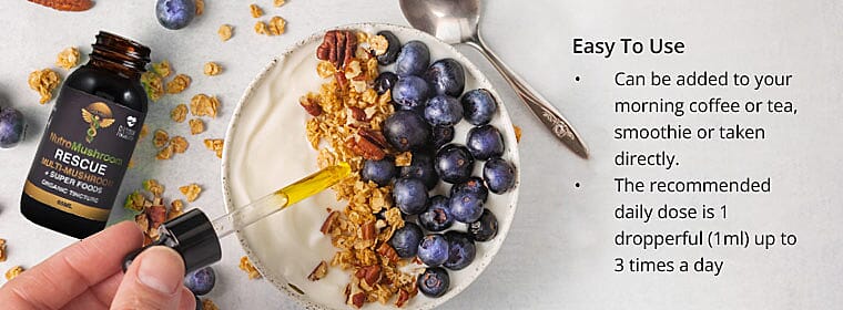 Organic Composition Banner