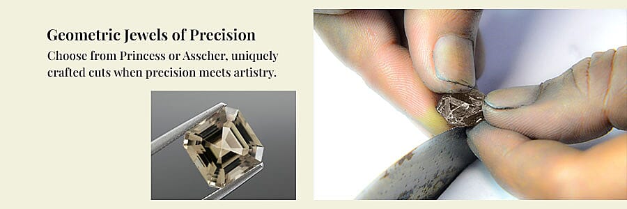 The Chameleon of Gems Banner