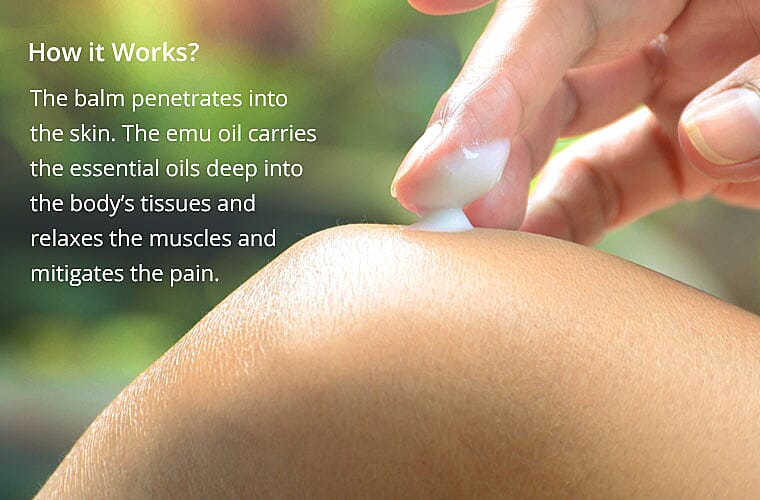 How it Works? Banner