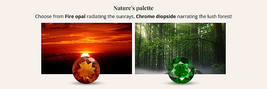 Nature's palette Banner