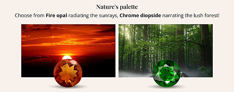 Nature's palette Banner