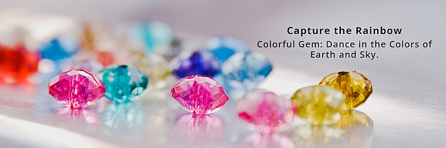 Capture the Rainbow  Banner