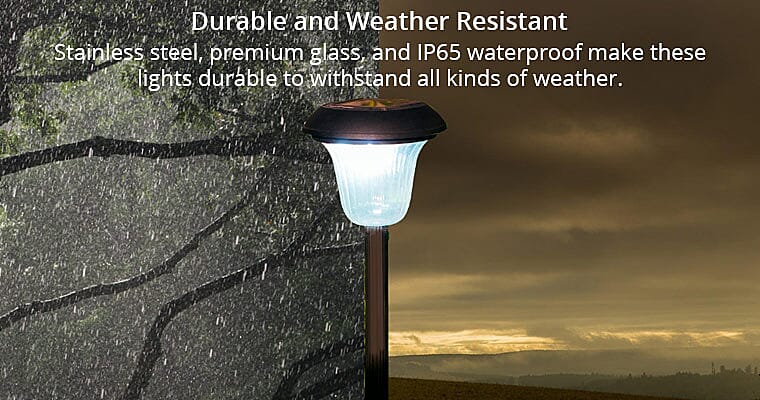 Durable and Weather Resistant Banner