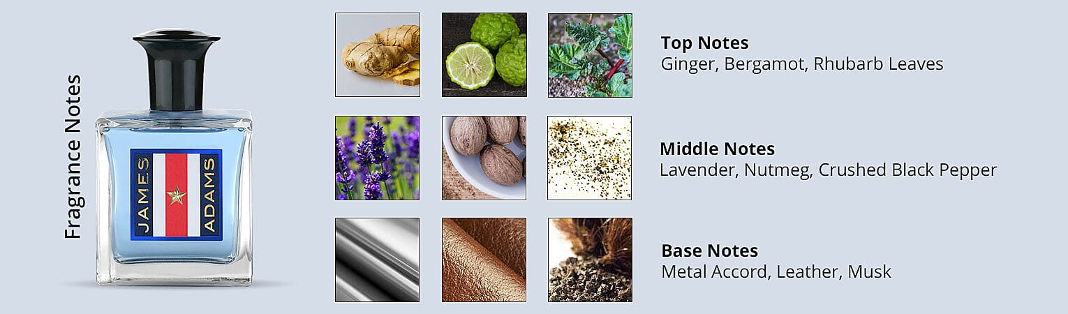 Fragrance Notes Banner