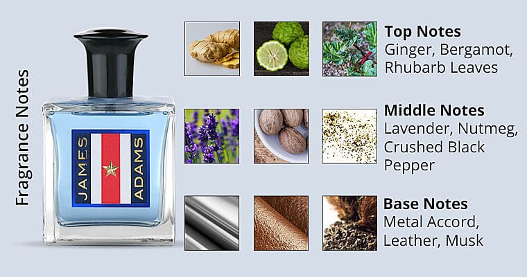 Fragrance Notes Banner