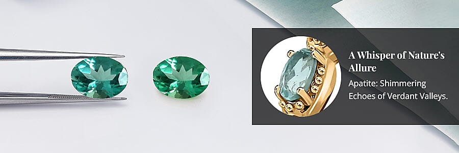 A Whisper of Nature's Allure Banner