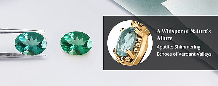 A Whisper of Nature's Allure Banner