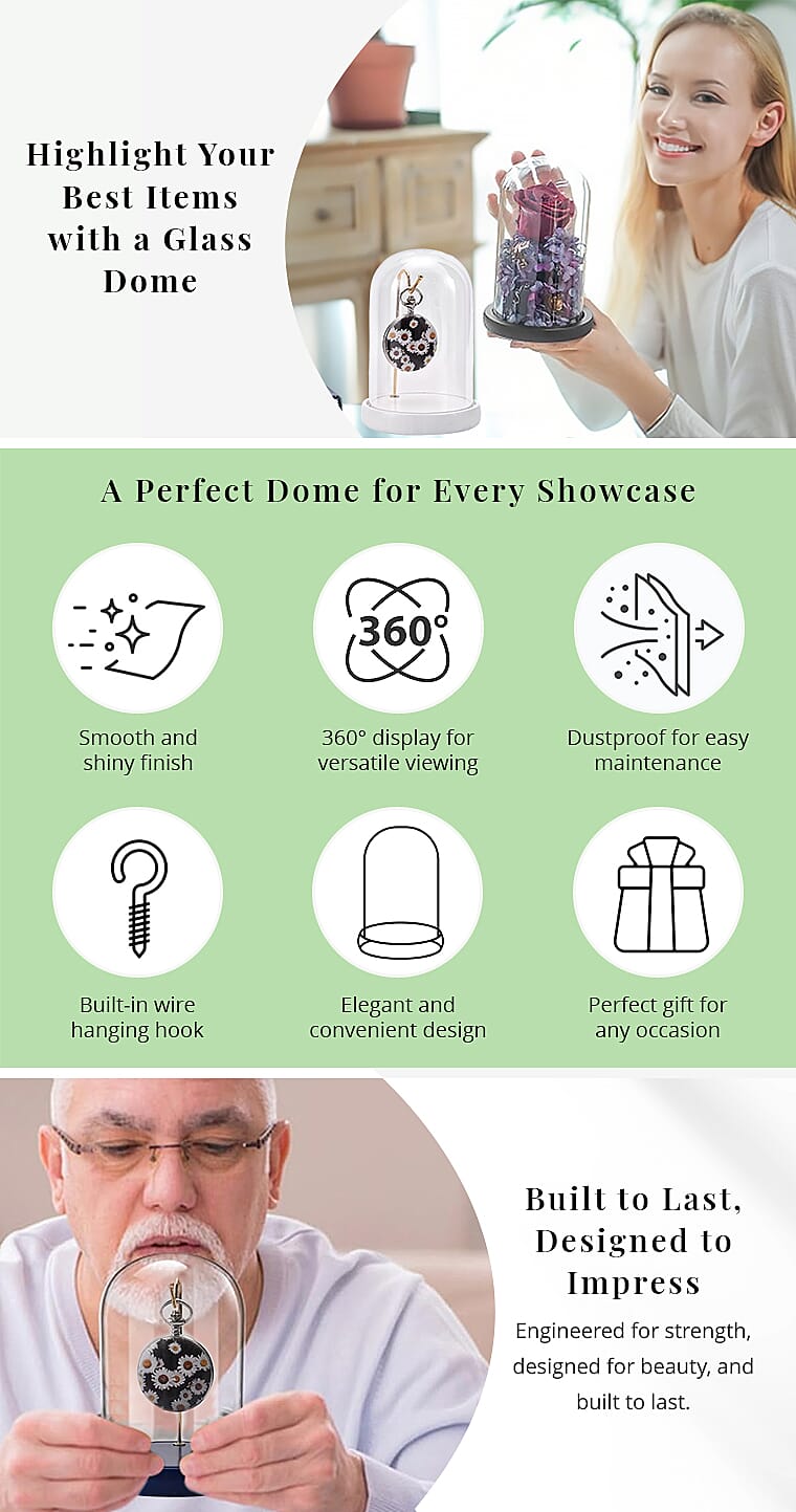 Blue Watch Display Case with Transparent Cover, Bell Jar Display Dome Banner