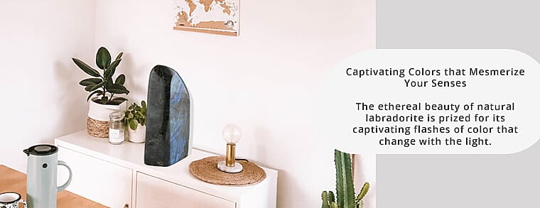 Captivating Colors that Mesmerize Your Senses Banner