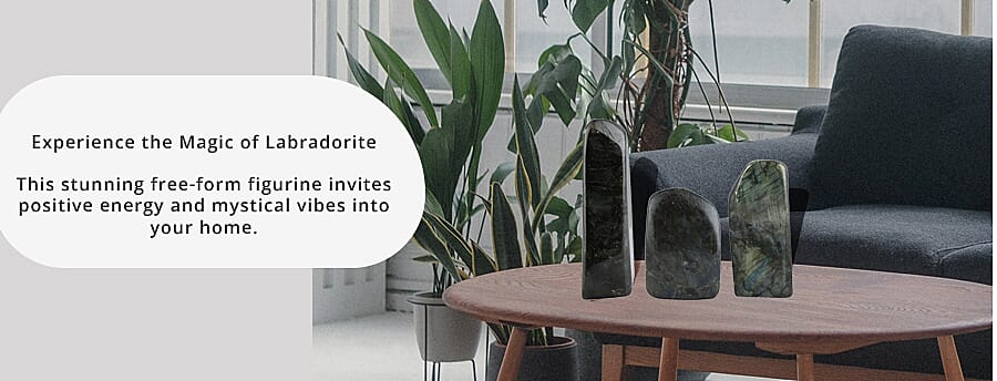 Captivating Colors that Mesmerize Your Senses Banner