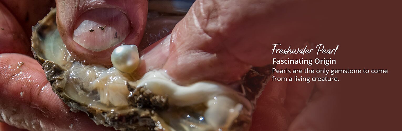 Freshwater Pearl Banner