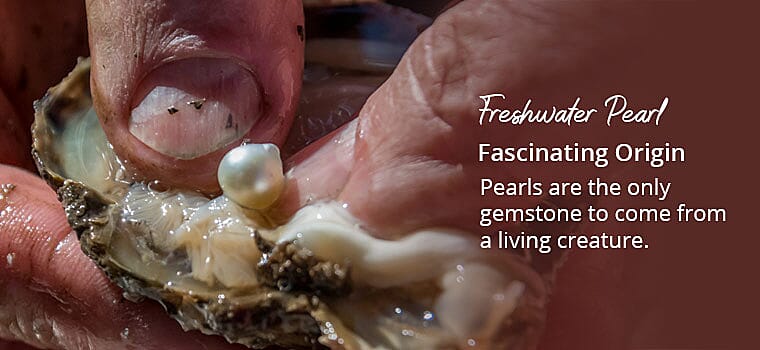 Freshwater Pearl Banner