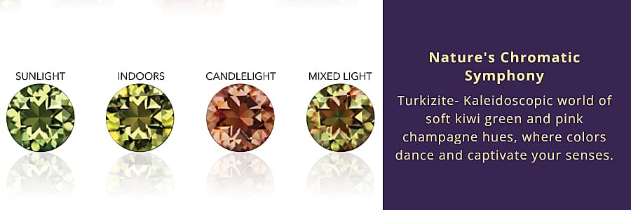 Nature's Chromatic Symphony Banner