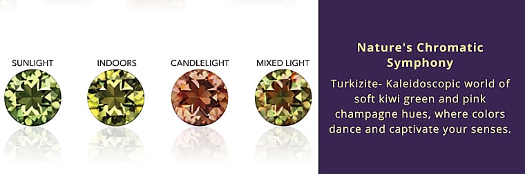 Nature's Chromatic Symphony Banner