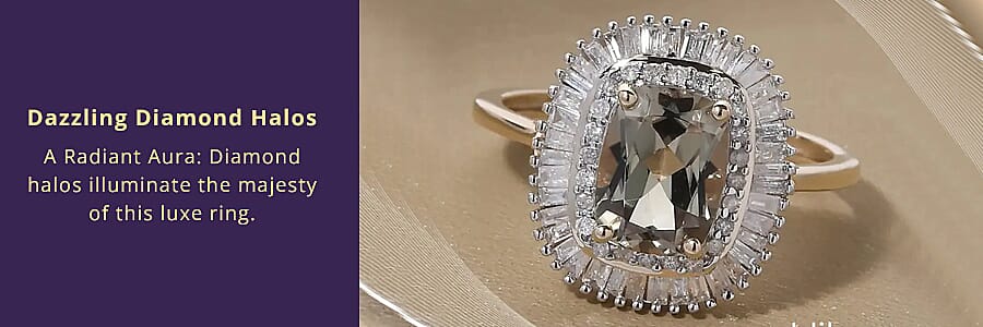 Nature's Chromatic Symphony  Banner