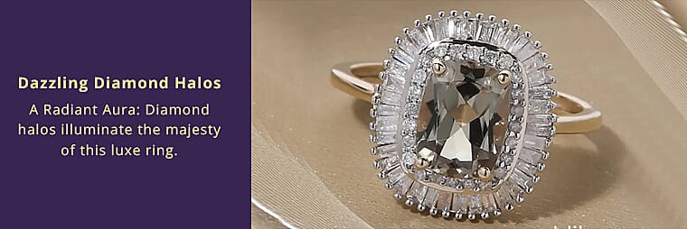 Nature's Chromatic Symphony  Banner