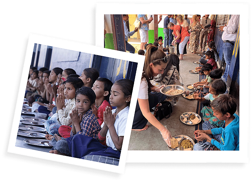 Purchase Feeds Image