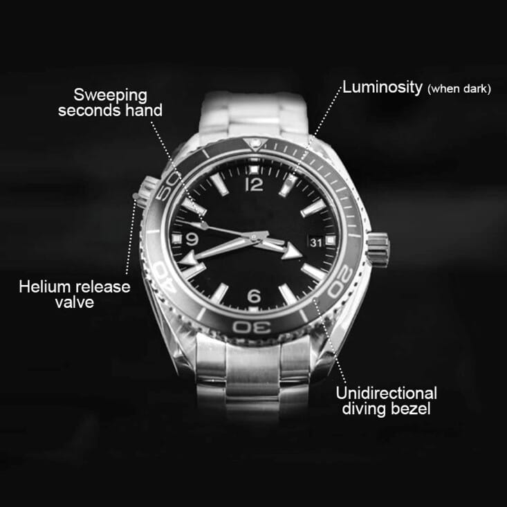 Anatomy Of Watch Anatomy Of Watch