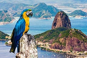 Brazil.