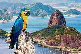 Brazil