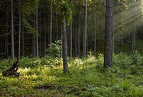 Kaliningrad Kaliningrad