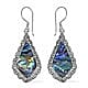  Abalone shell earrings.